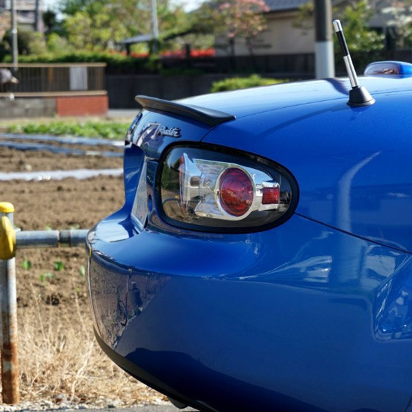 Garage Vary Low Trunk Lip