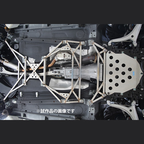 Nielex Body Reinforcement Kit