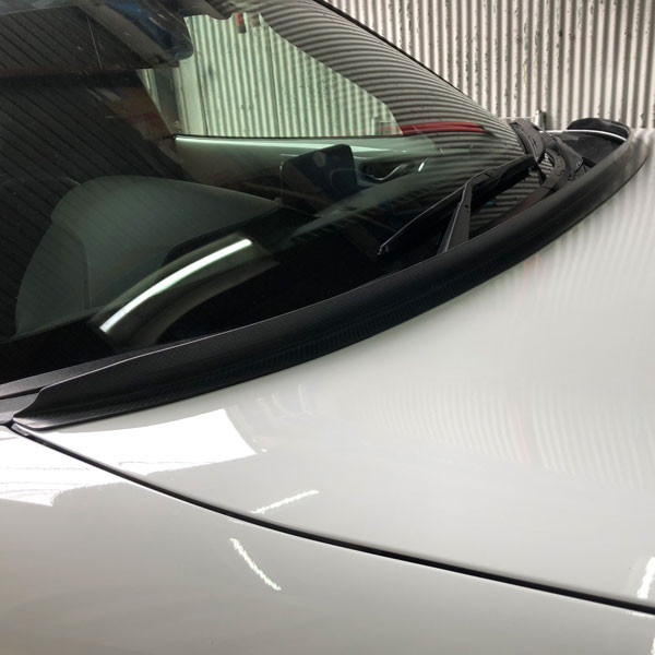 Jet Stream Gurney Hood Flap