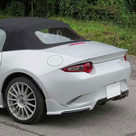 Esqueleto Rear Spoiler Type-1