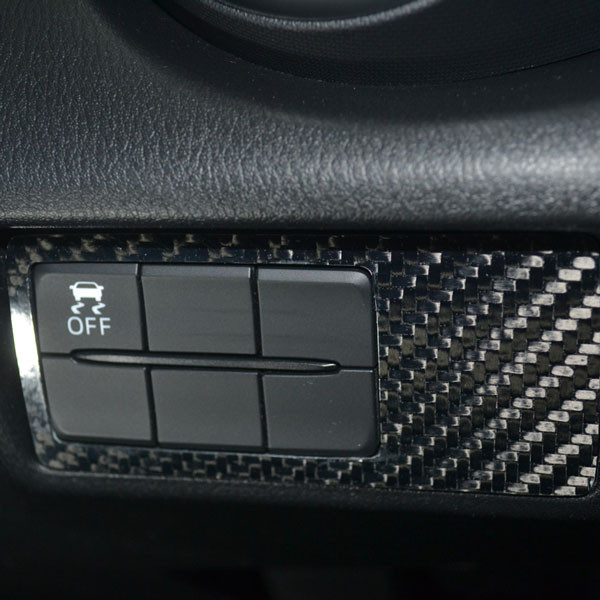 RSW Carbon DSC Panel