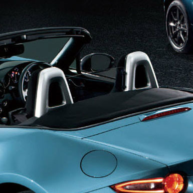 Mazda Roll Hoop Cover