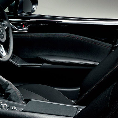 Mazdaspeed Suede Door Trims