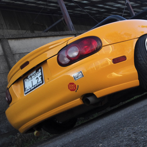 RS Factory Stage Rear Lip