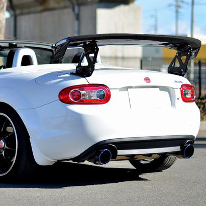 Odula Carbon Fiber GT Wing