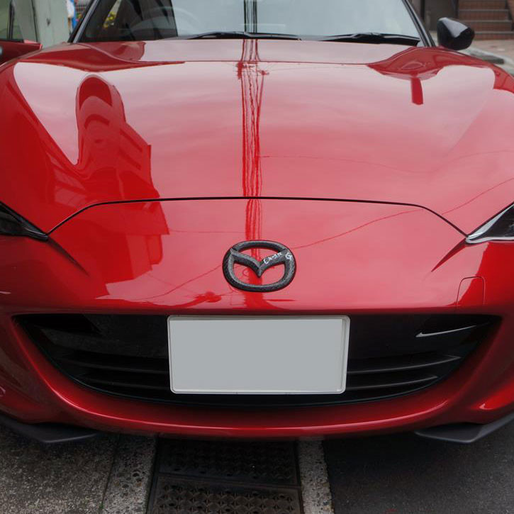 Axis Parts Front Emblem Cover