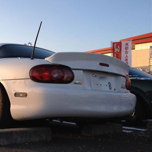 Autoexe Ducktail Spoiler