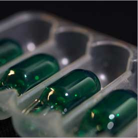 Zeromotive Light Bults